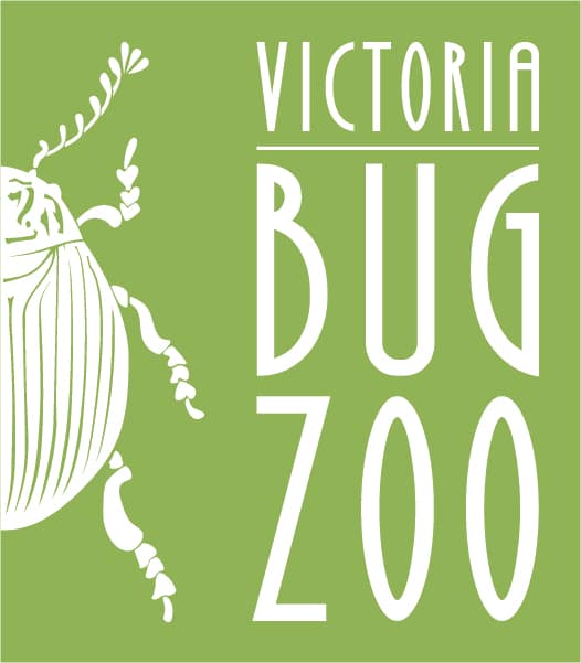 Victoria Bug Zoo